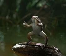 Image result for Crazy Frog Dancing Meme