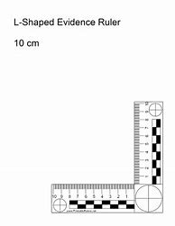 Image result for Ten Centimeters