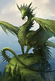 Image result for Mythical Forest Dragons