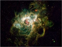 Image result for Triangulum Galaxy S NGC 604 Nebula