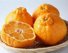 Image result for Orange Fruit SE Asia