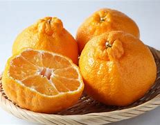 Image result for Chinese Orange
