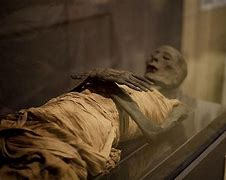Image result for Firaun Mummy