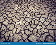Image result for Cracked Mud Texture