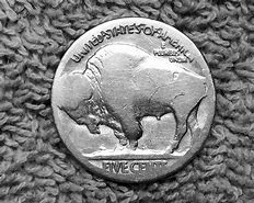 Image result for Indian Head Buffalo Nickel No Date Value