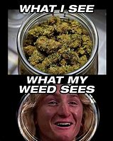 Image result for Weed and Alcohol Memes
