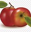 Image result for Apple Vector Color