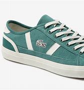 Image result for Lacoste Canvas Sneakers