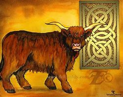 Image result for Celtic Bull Pin