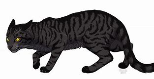 Image result for Black Warrior Cats