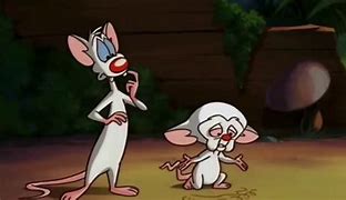 Image result for Pinky and the Brain Julia