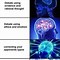 Image result for Brain Progression Meme