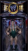 Image result for WWE Manager Action Figures