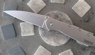 Image result for Kershaw 160 SST Knife