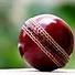 Image result for Official Cricket Ball