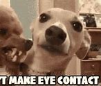 Image result for Eye Phone Meme