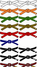 Image result for Martial Arts Belts