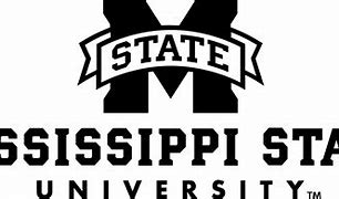 Image result for Mississippi State Football