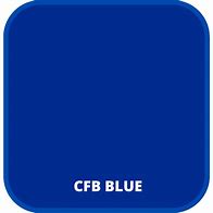 Image result for CFB New York