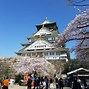 Image result for Osaka Castle History