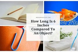 Image result for 6 Inches How Long