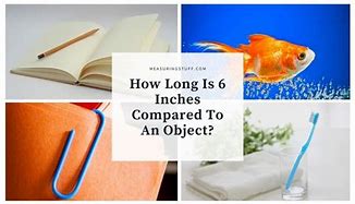 Image result for 6 Inch Diameter Object