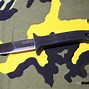 Image result for Ninja Stay Sharp Knives