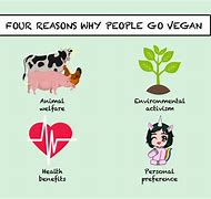 Image result for Why Become Vegan