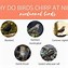Image result for Cricket Night Animal Chirp Image
