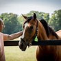 Image result for Newmarket Racecourse England