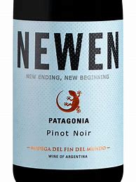 Image result for del Fin del Mundo Pinot Noir Newen