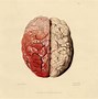 Image result for Brain Background Wallpaper