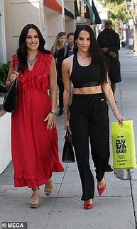 Image result for Brie Bella Maxi Dress