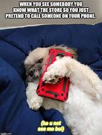 Image result for Funny Dog Phone Meme