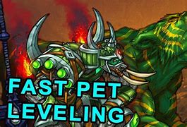 Image result for WoW Hunter Fire Pets