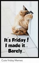 Image result for Friday Weekend Cat Meme