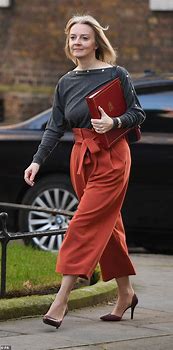 Image result for Liz Truss Red Dress and Boost
