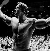 Image result for Arnold Schwarzenegger Bodybuilding Gym Poster