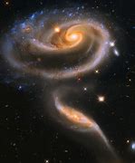 Image result for Red Rose Galaxy