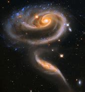 Image result for Black Galaxy Rose