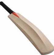Image result for Cricket Bat Wood 17 Year Boy