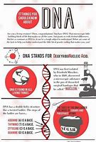 Image result for DNA Fun Facts