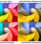 Image result for Differnet Color iPhone 11