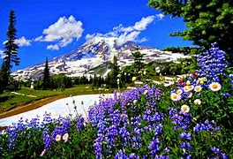 Image result for Free Screensavers Spring Scenes for Desktop