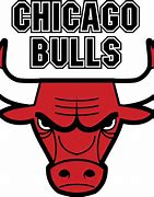 Image result for Bulls Basketball