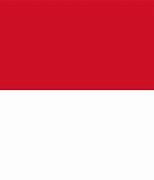 Image result for Full Red Flag with White Two Plus Signs