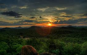 Image result for Conservative Nature Pictures
