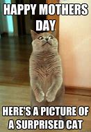 Image result for Funny Animal Mother's Day Memes