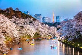 Image result for Japan Best Images of Tokyo