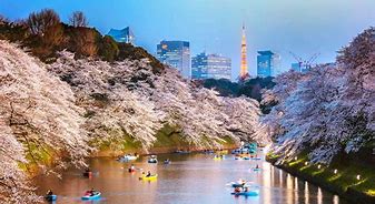 Image result for Japan Destinations